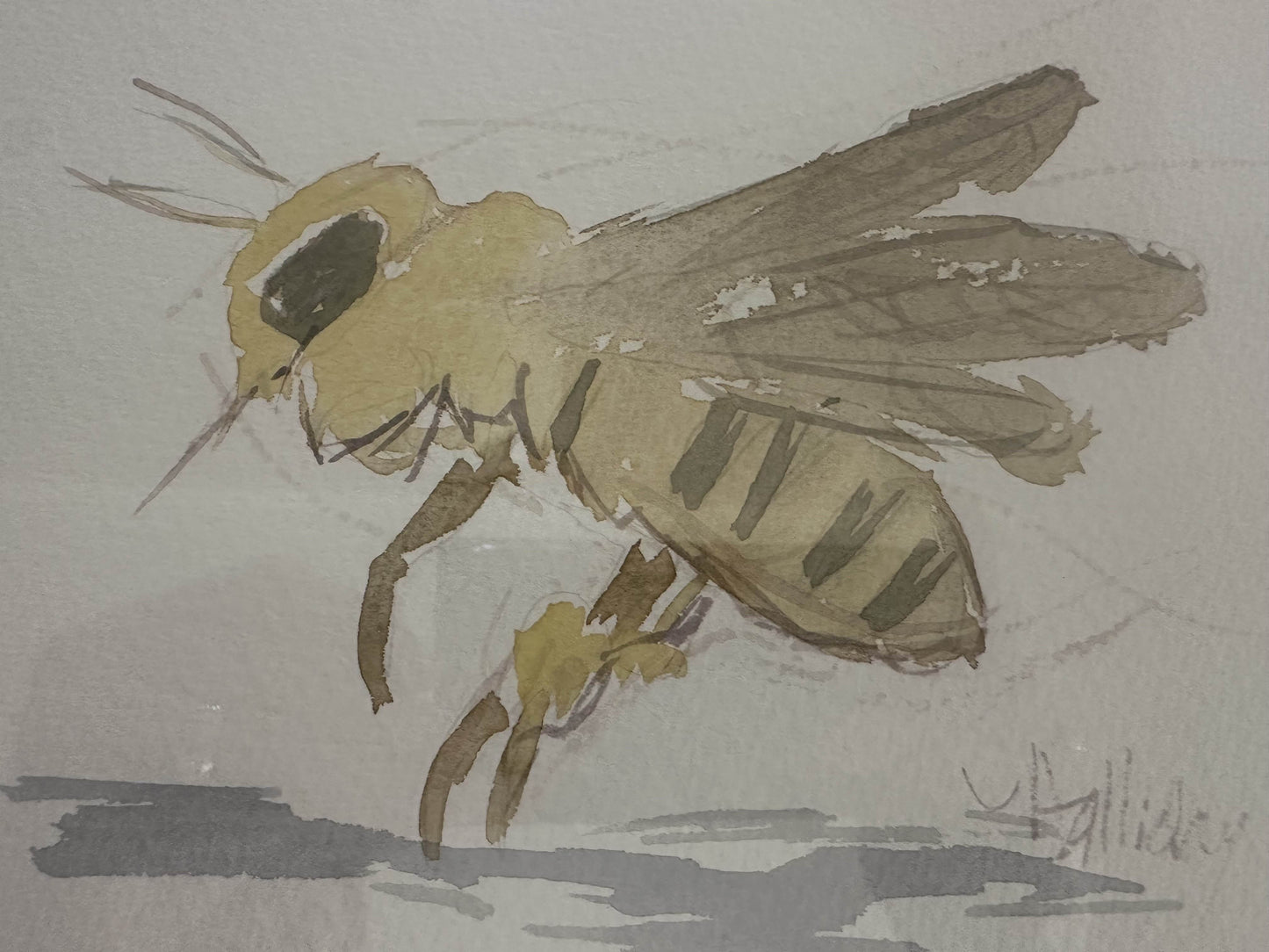 Sweet bee watercolor by John Halliday