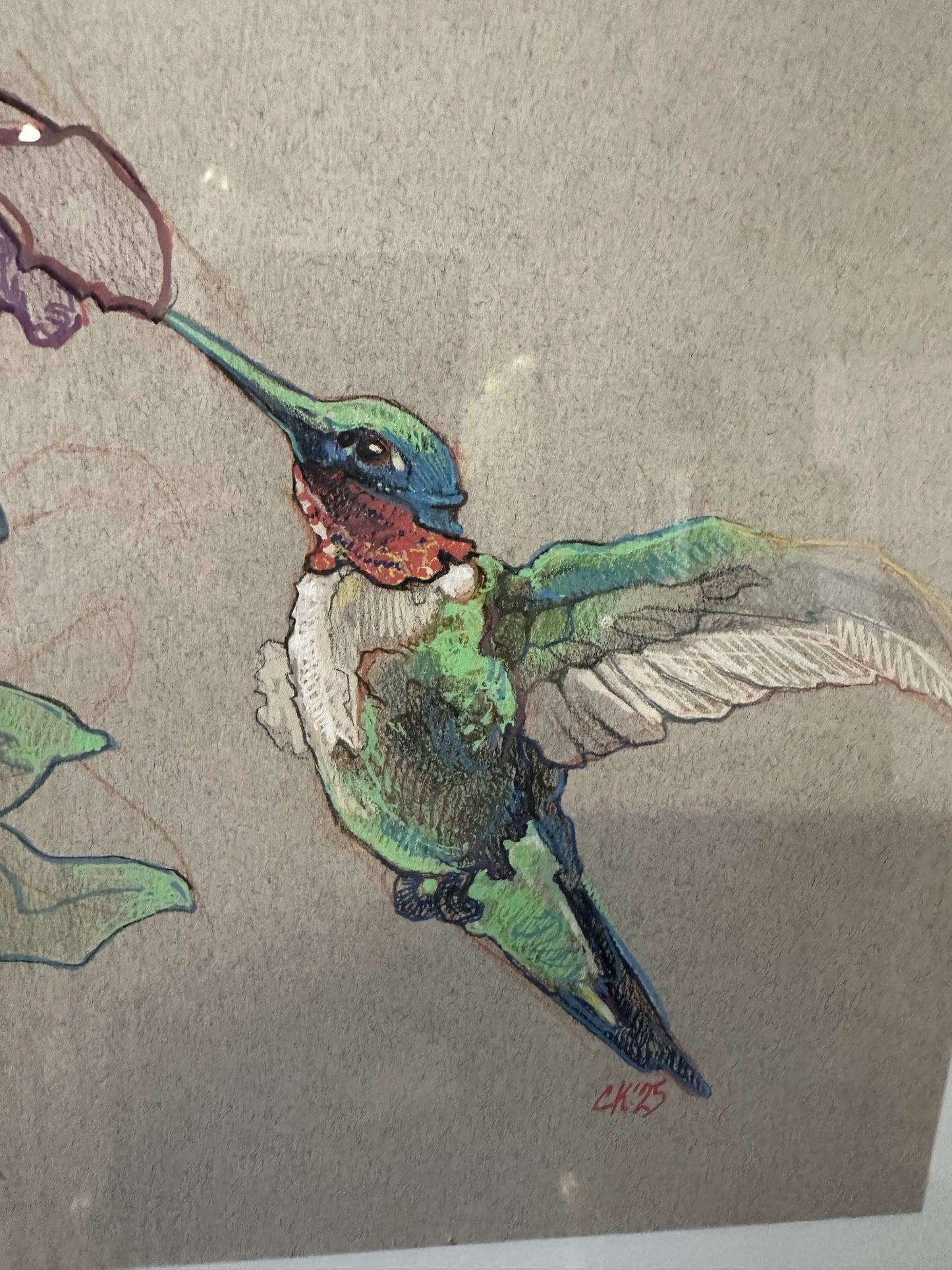 Hummingbird by Chris Kelly