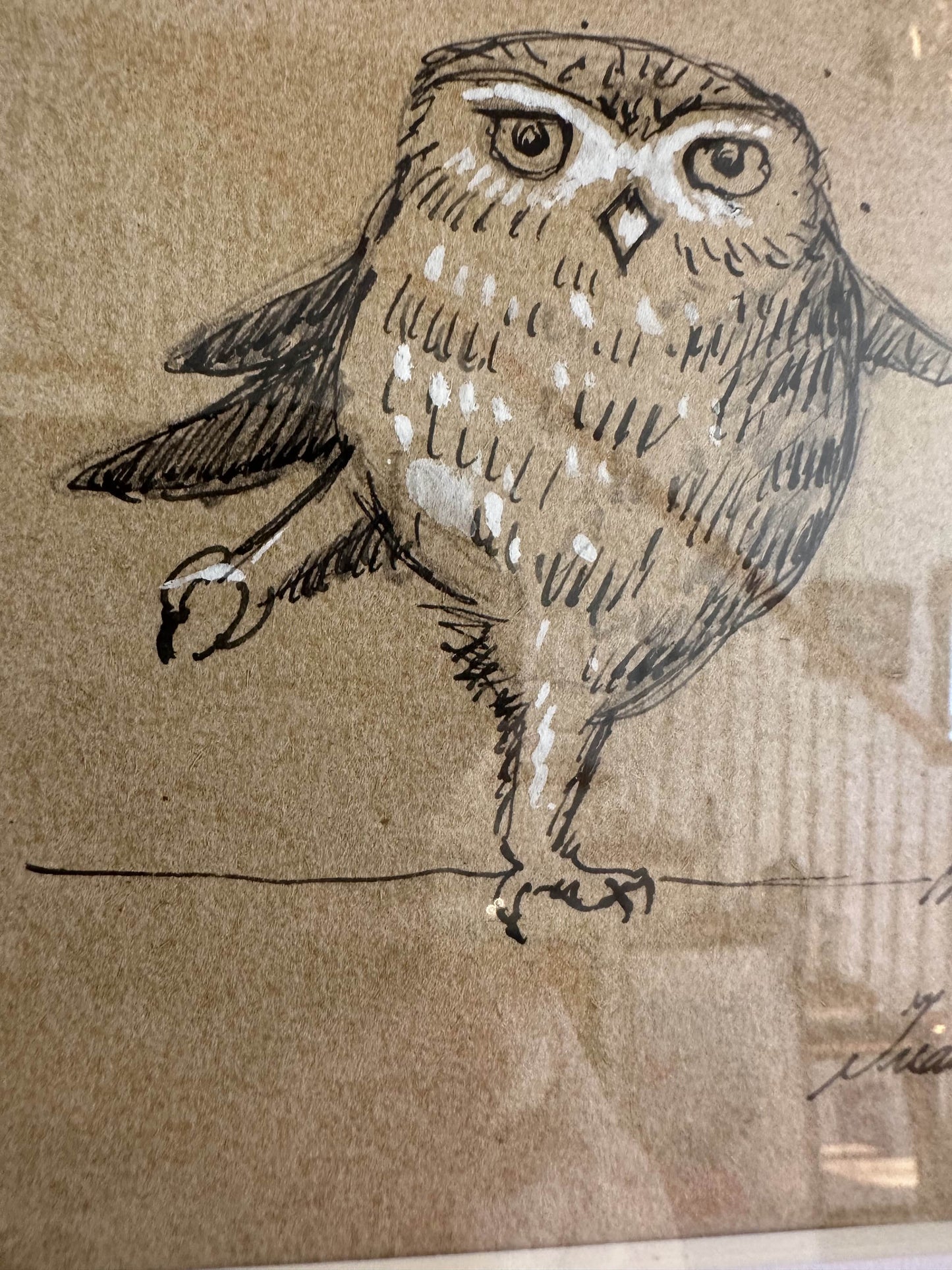 Owl by Juan Bosco