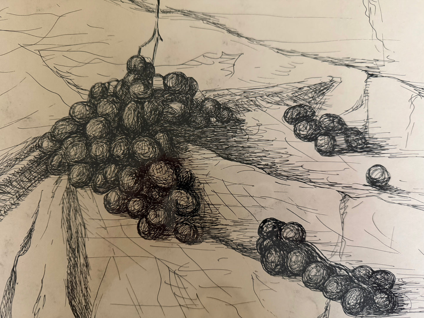 Grapes Still Life by Fred Lymann