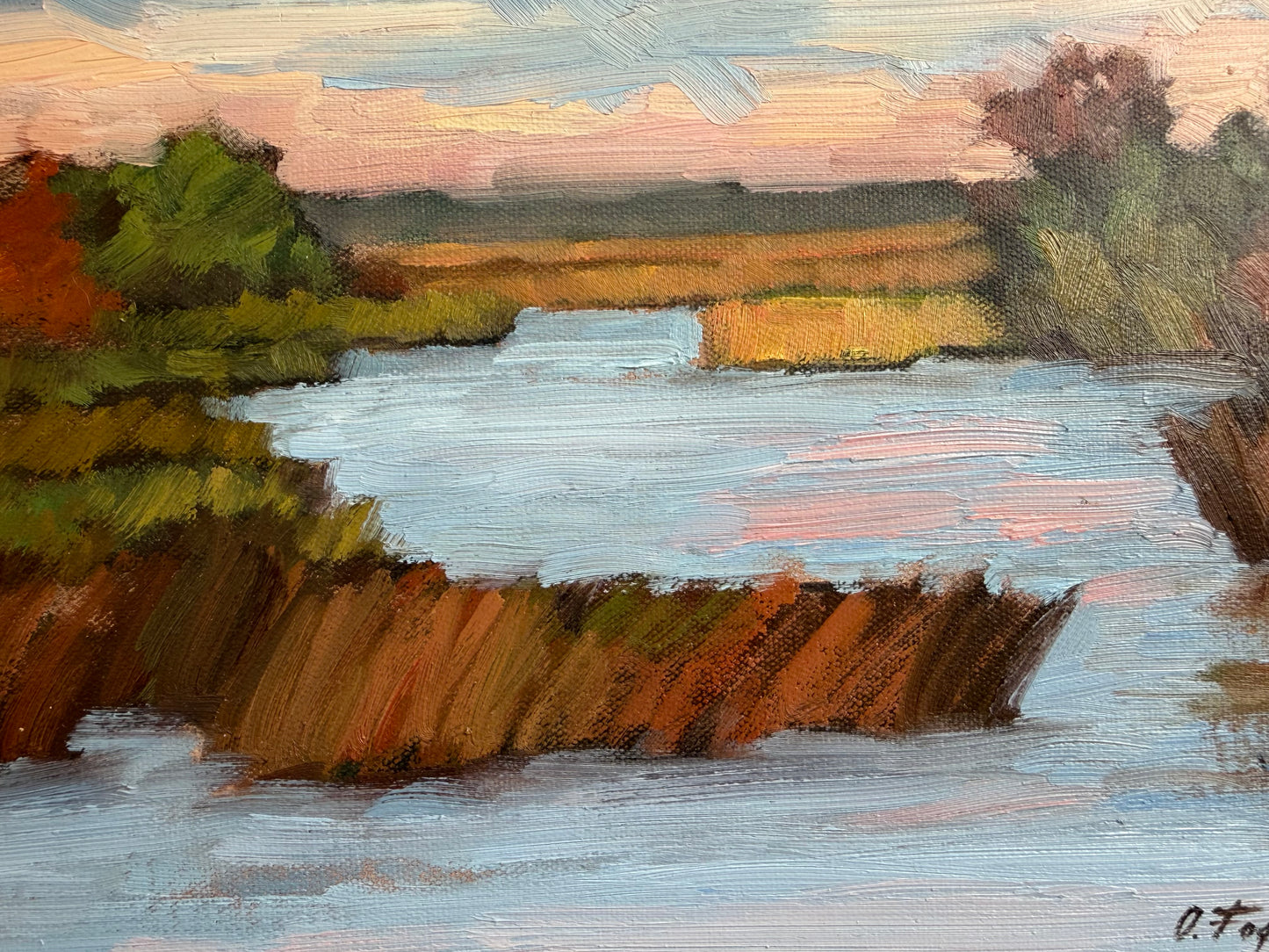 Louisiana Marsh by Oksana Fogg