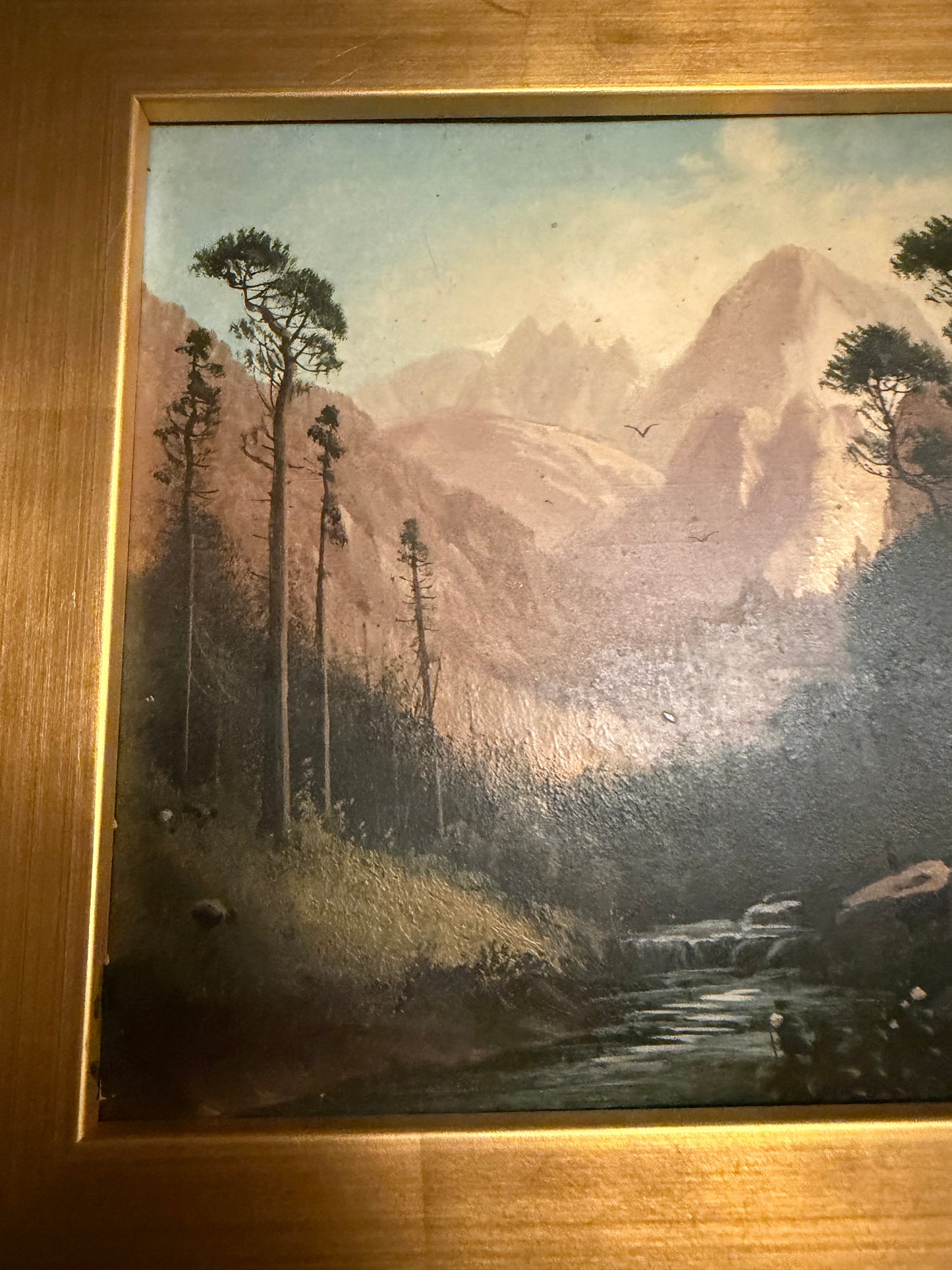 In the Black Forest by D.A.F. / Fisher