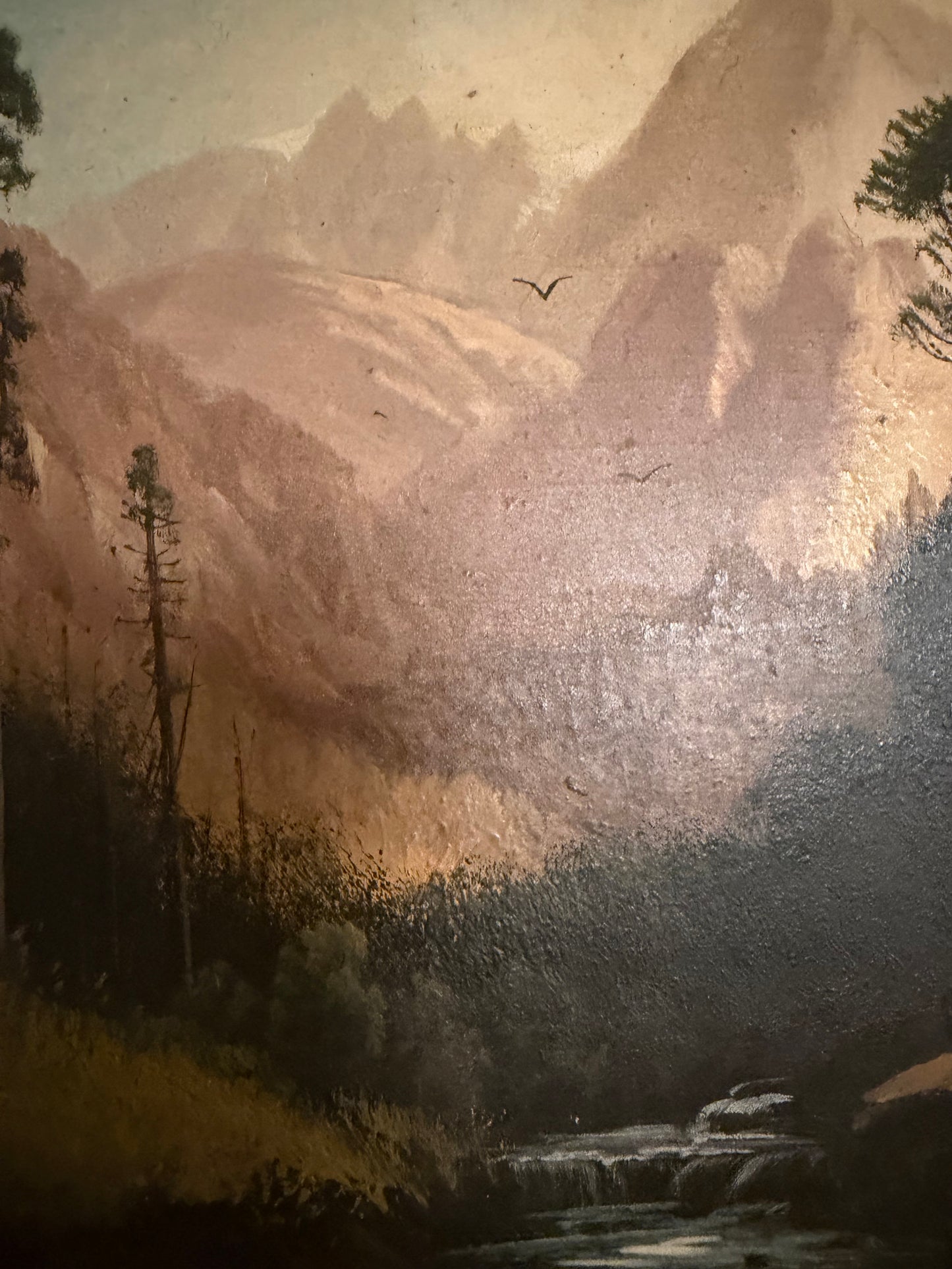 In the Black Forest by D.A.F. / Fisher