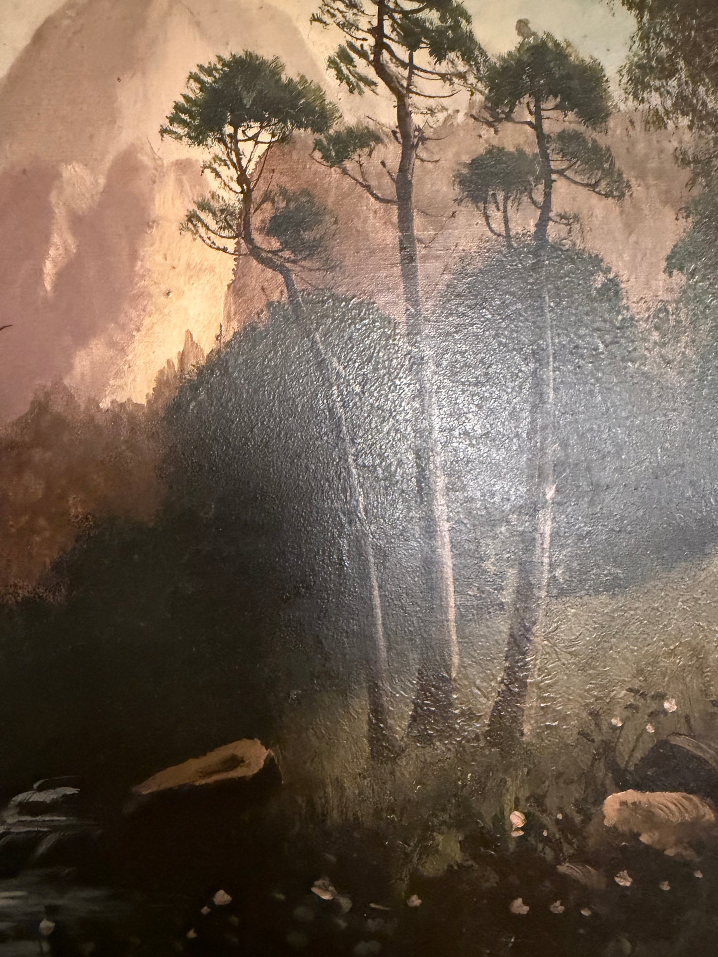 In the Black Forest by D.A.F. / Fisher