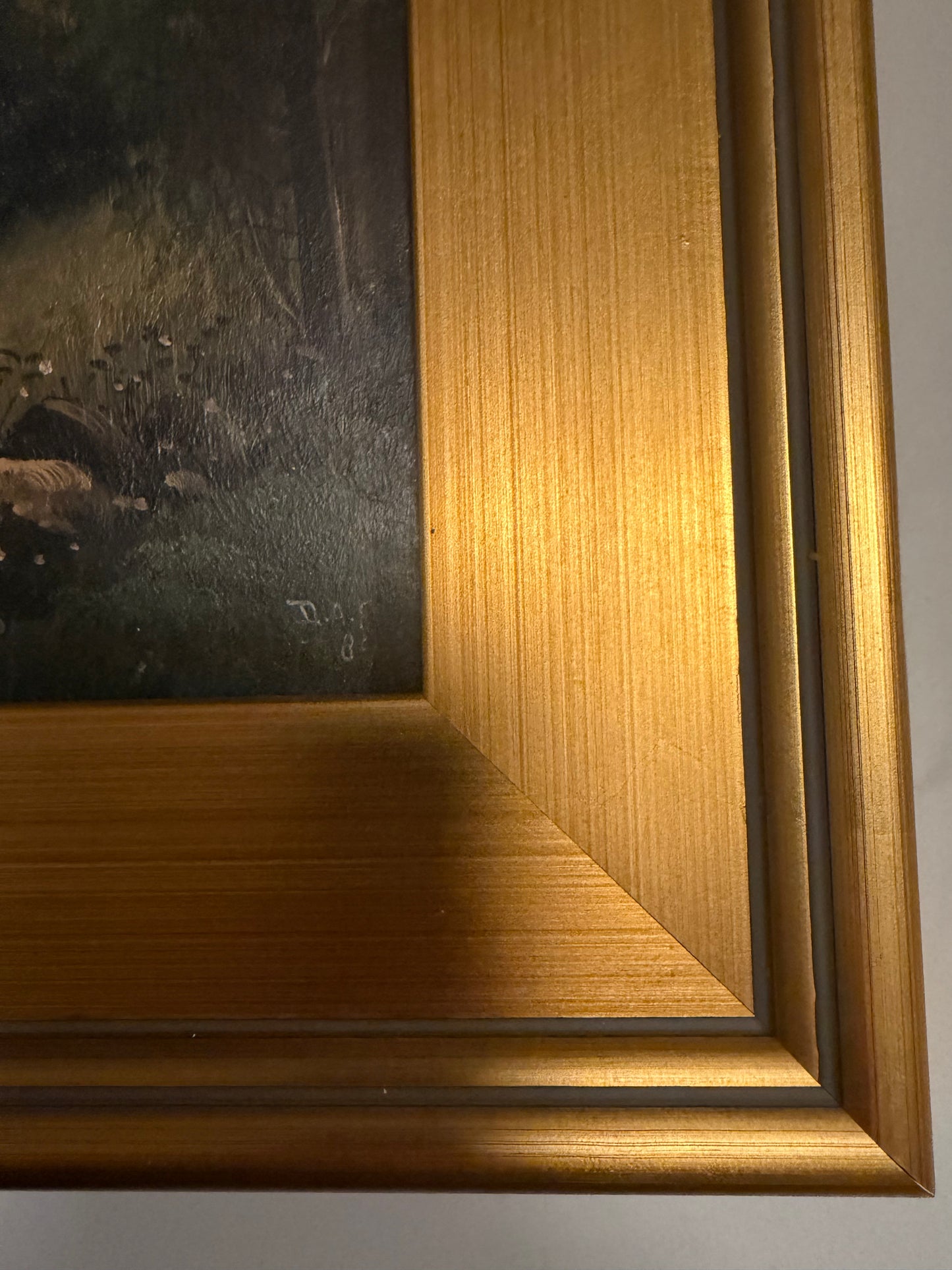 In the Black Forest by D.A.F. / Fisher