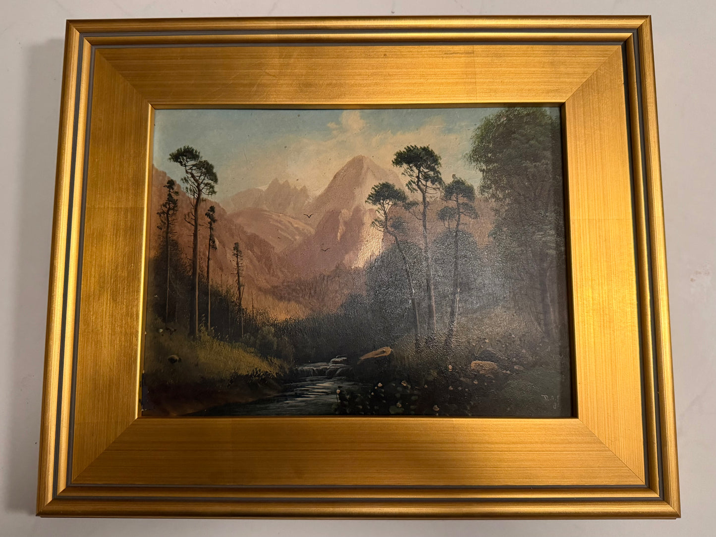 In the Black Forest by D.A.F. / Fisher