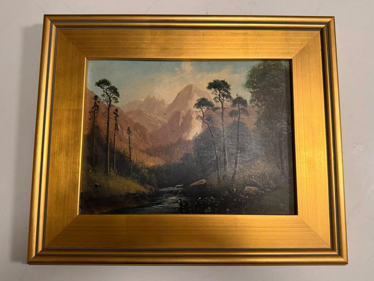 In the Black Forest by D.A.F. / Fisher