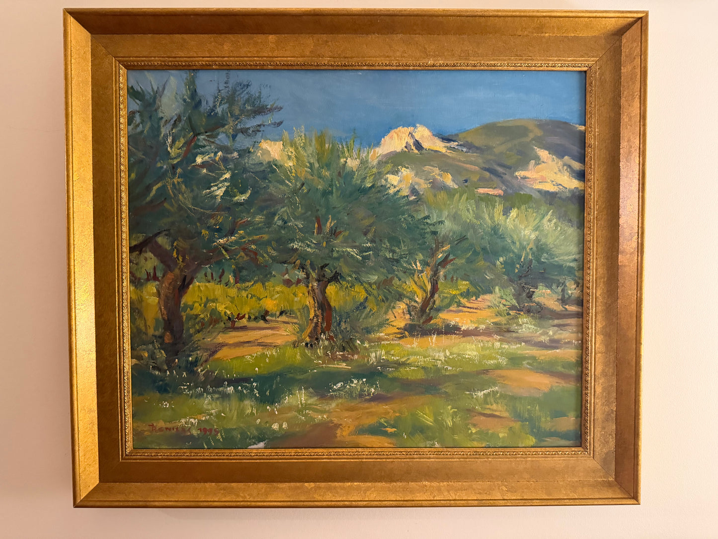 Los Oliviers a St. Hippolyte by Tony Reiners