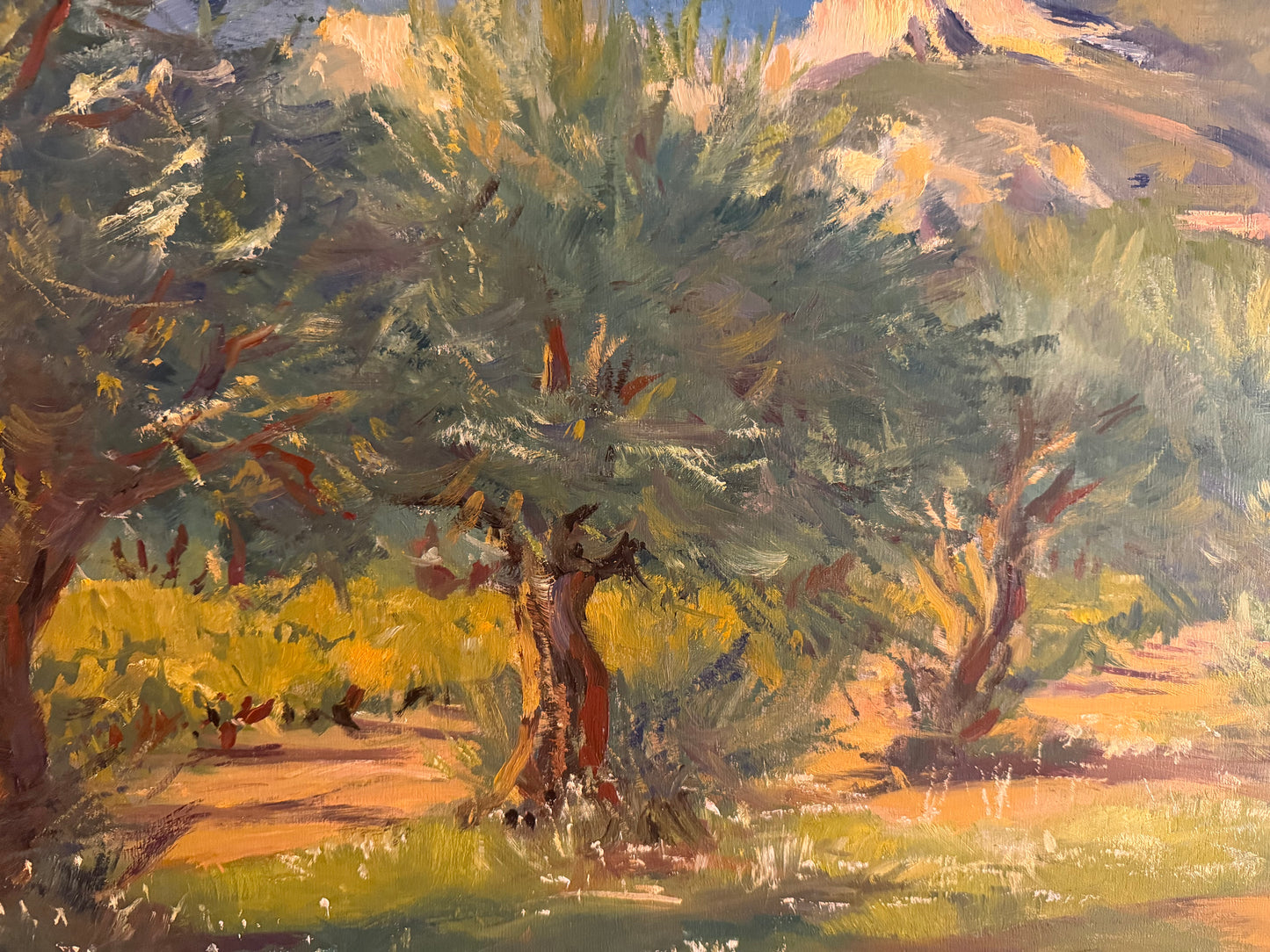 Los Oliviers a St. Hippolyte by Tony Reiners