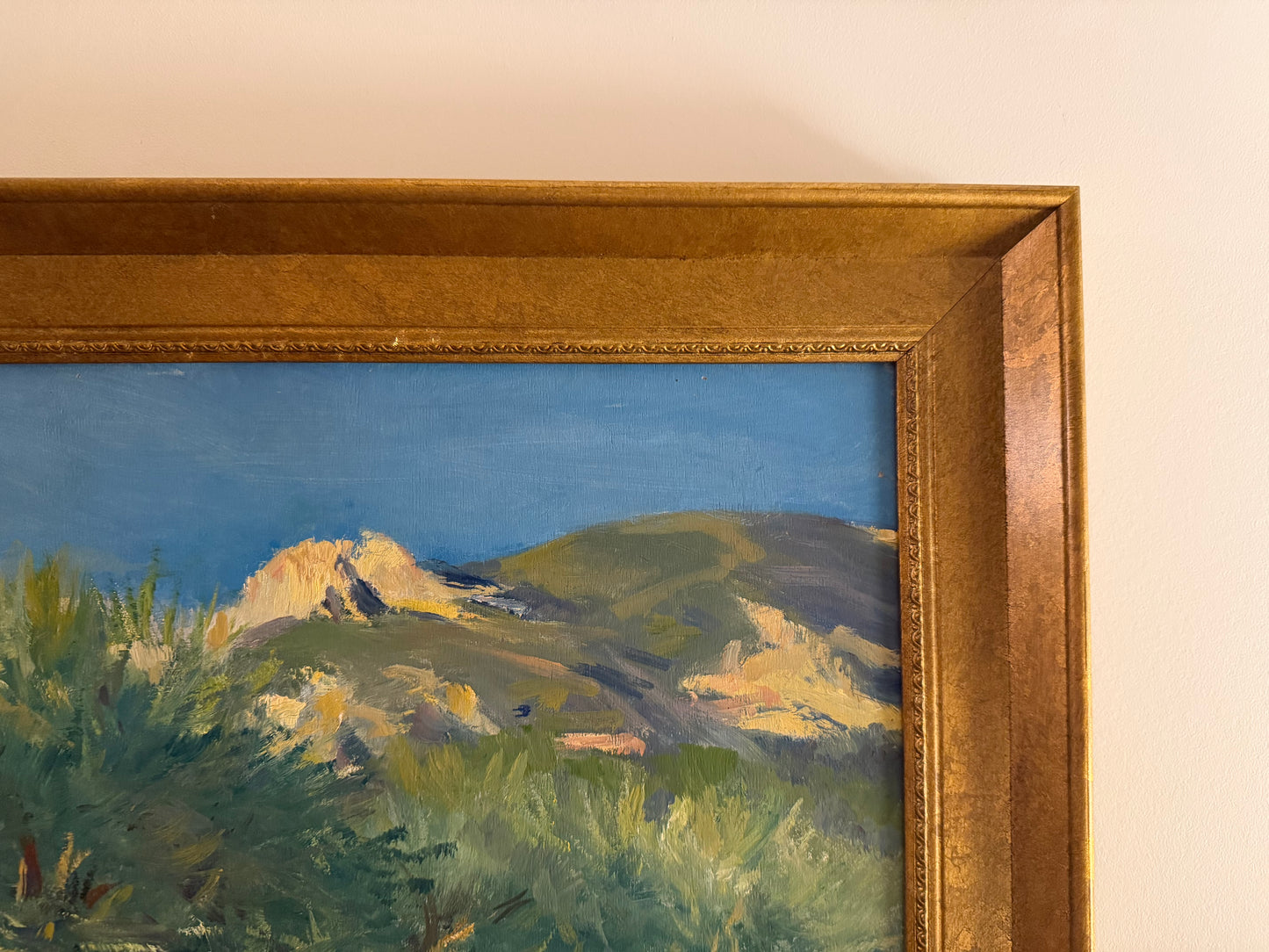 Los Oliviers a St. Hippolyte by Tony Reiners