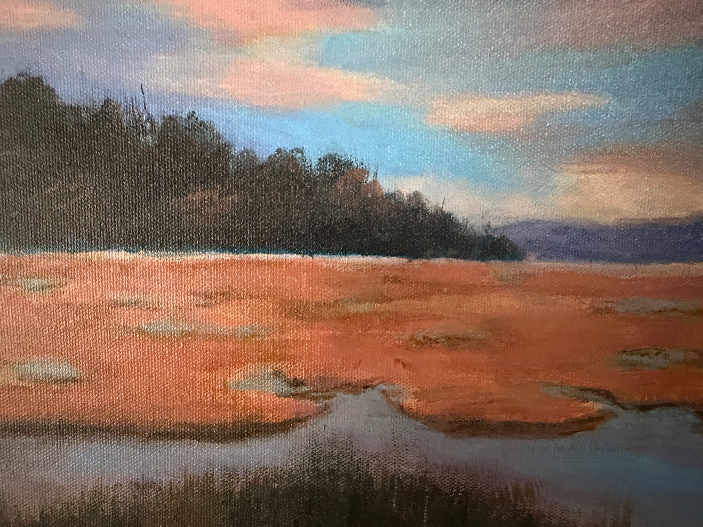 Beautiful Sunset on the Marsh by Mathilde Hoefer