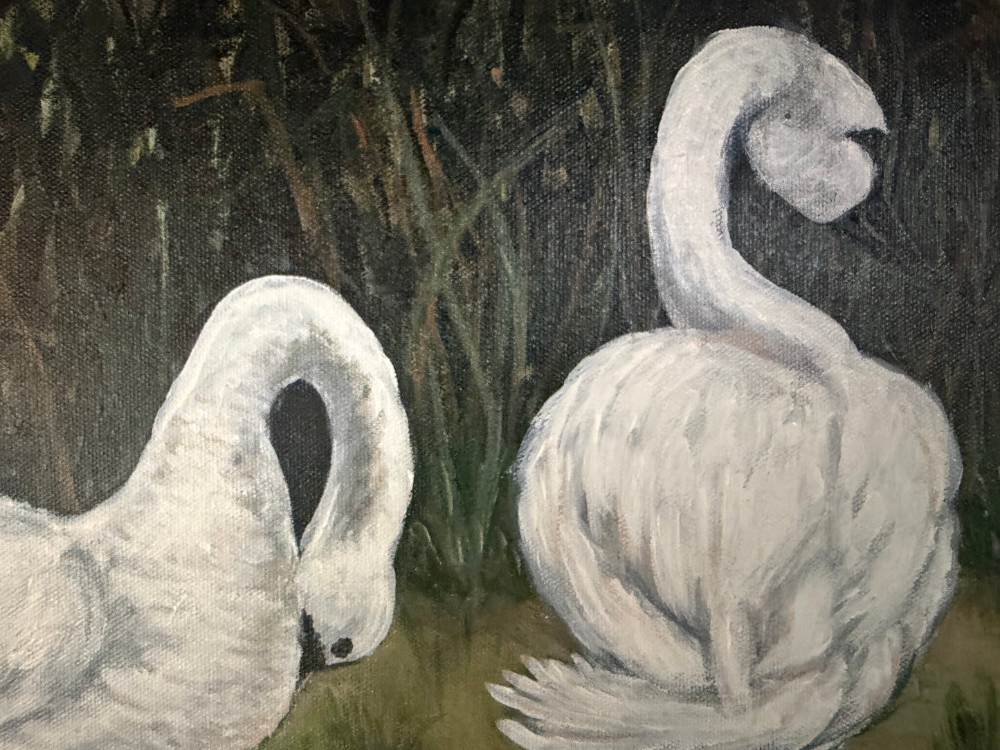 Elegant Swans by Mathilde Hoefer