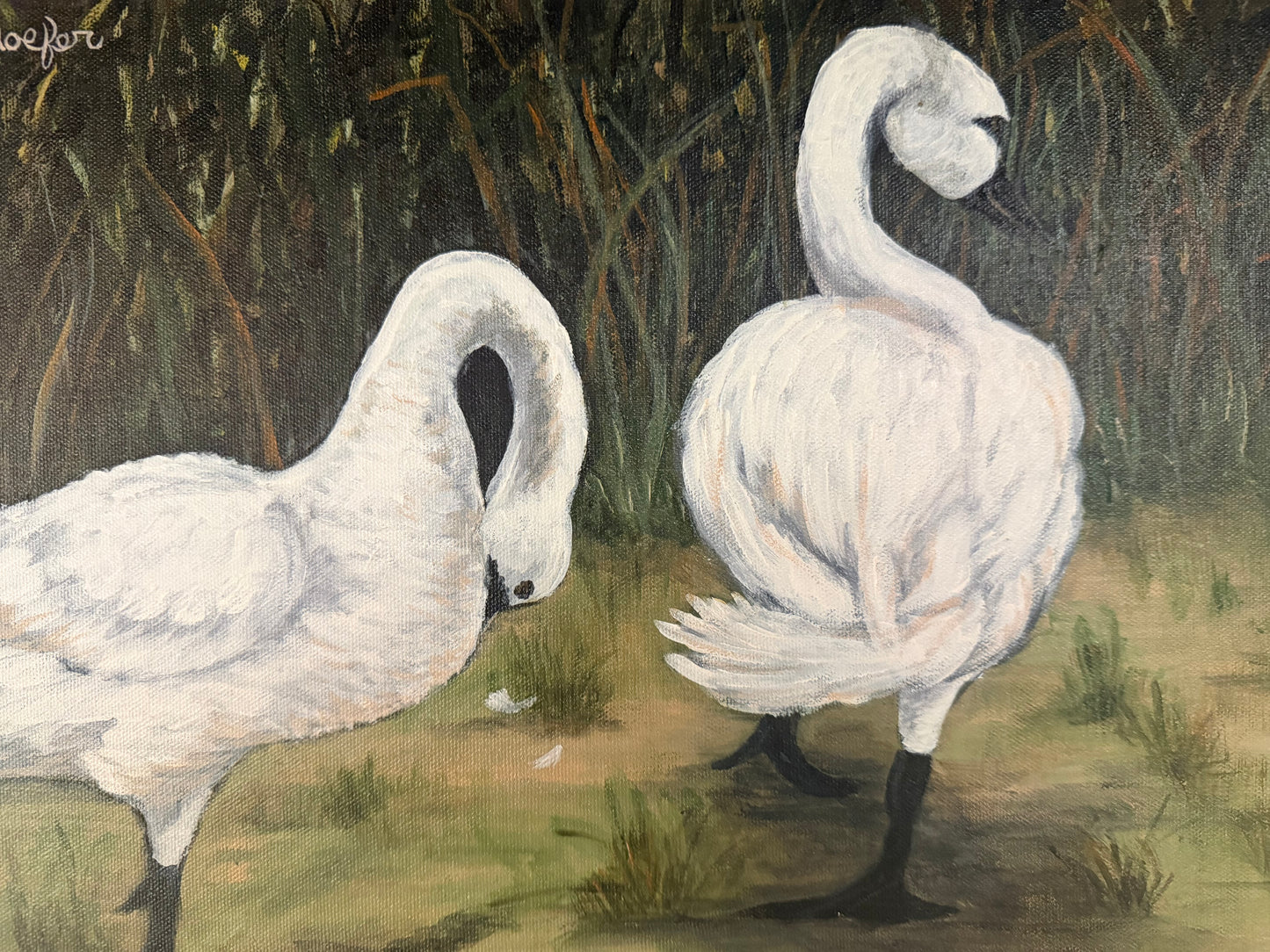 Elegant Swans by Mathilde Hoefer