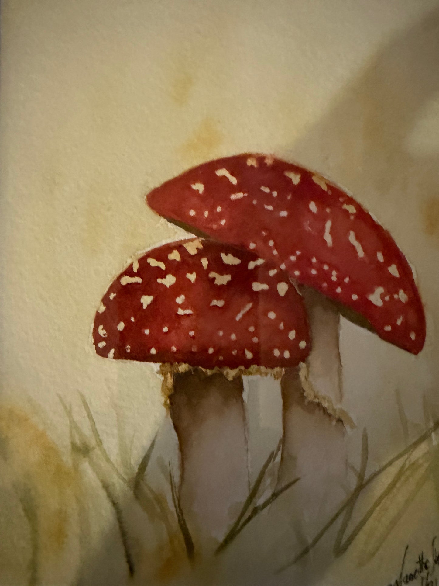 Red Mushrooms Watercolor  by Manette Kuhlman