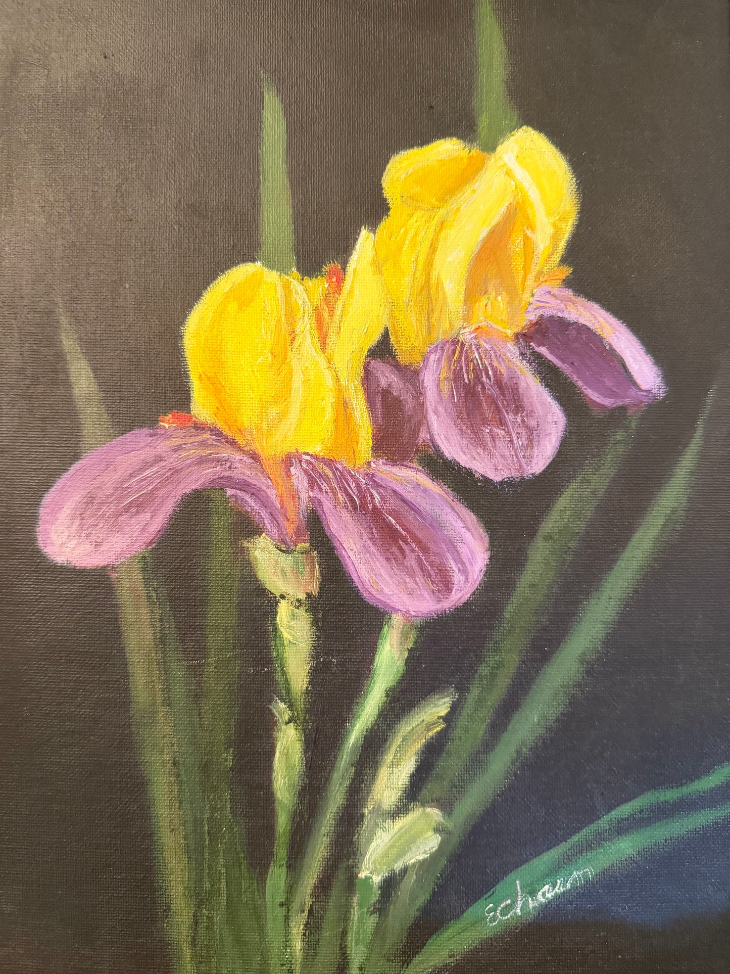 Vintage Oil Painting of Irises