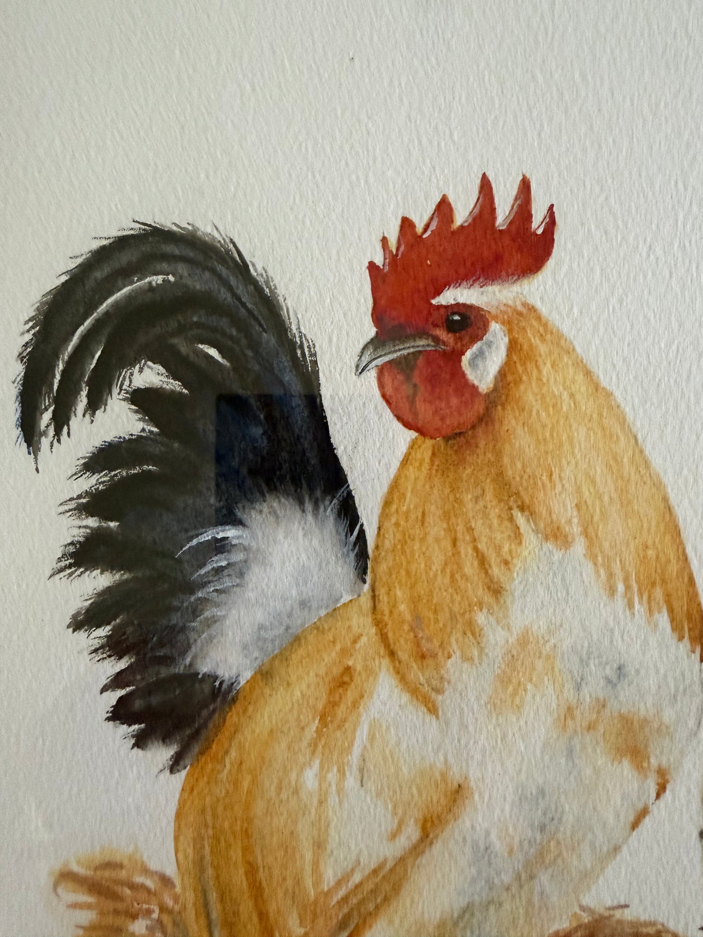 Original Hand-Painted Rooster and Speckled Hen by Manette Kuhlman