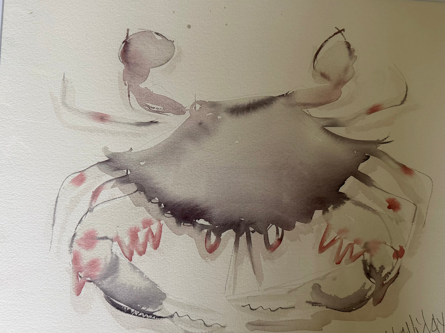 Watercolor of a Crab by John Halliday