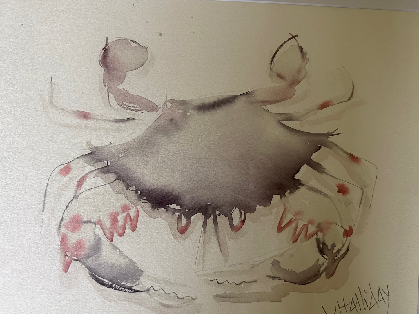 Watercolor of a Crab by John Halliday