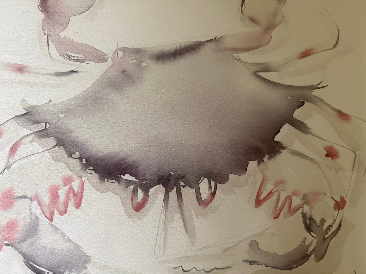 Watercolor of a Crab by John Halliday
