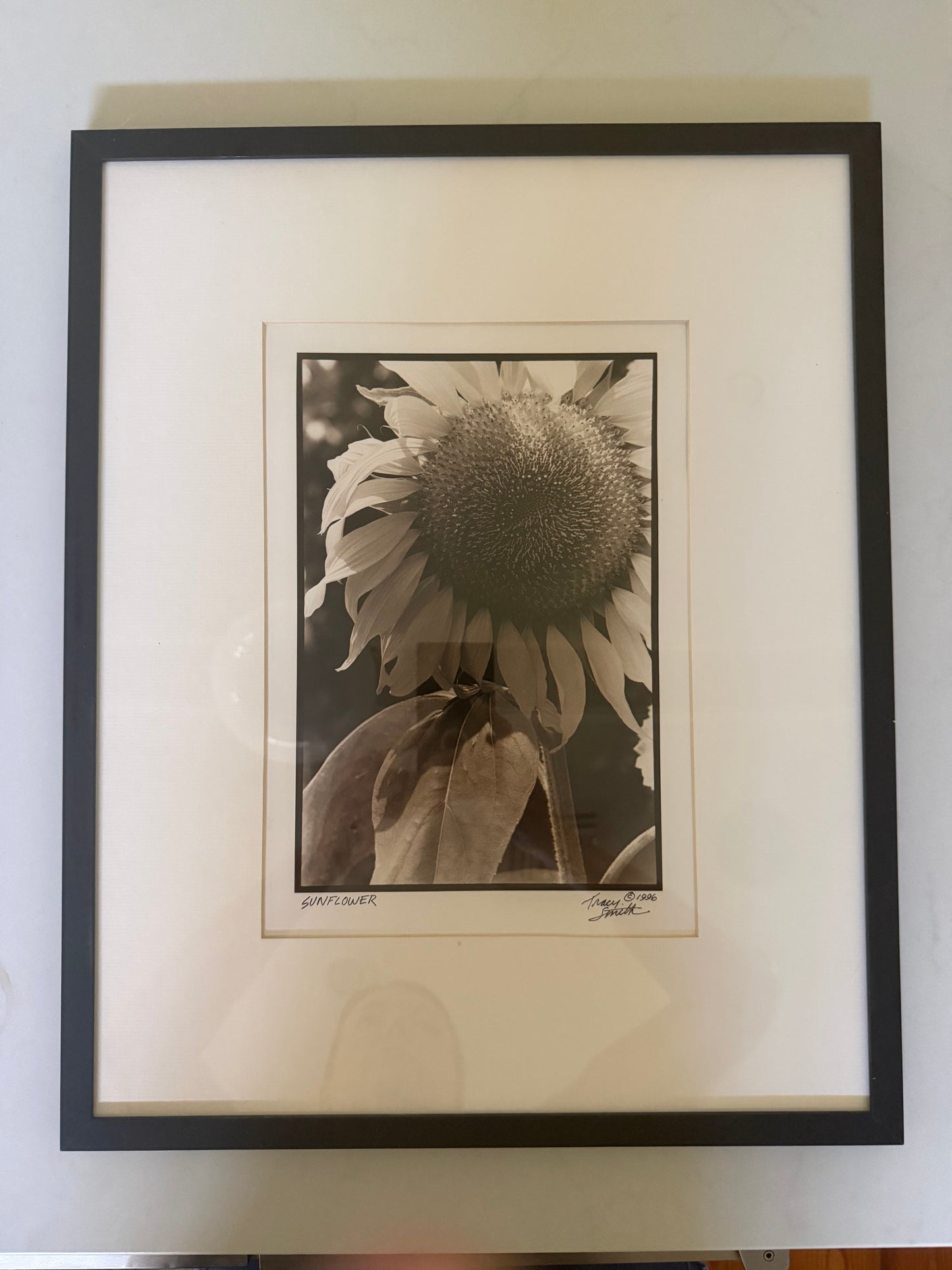 Sunflower by by Tracy Smith (1956-2012), signed