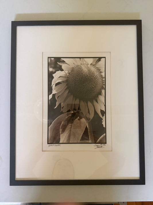 Sunflower by by Tracy Smith (1956-2012), signed