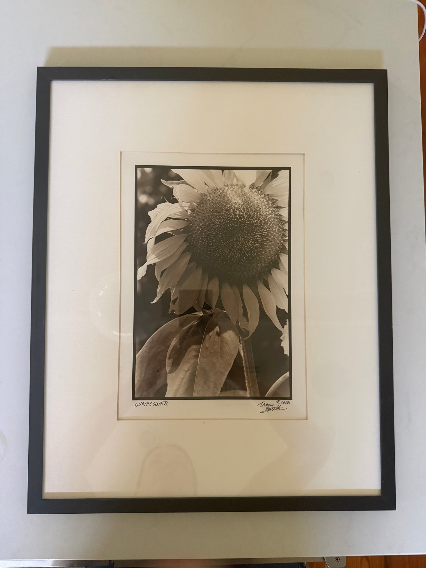 Sunflower by by Tracy Smith (1956-2012), signed