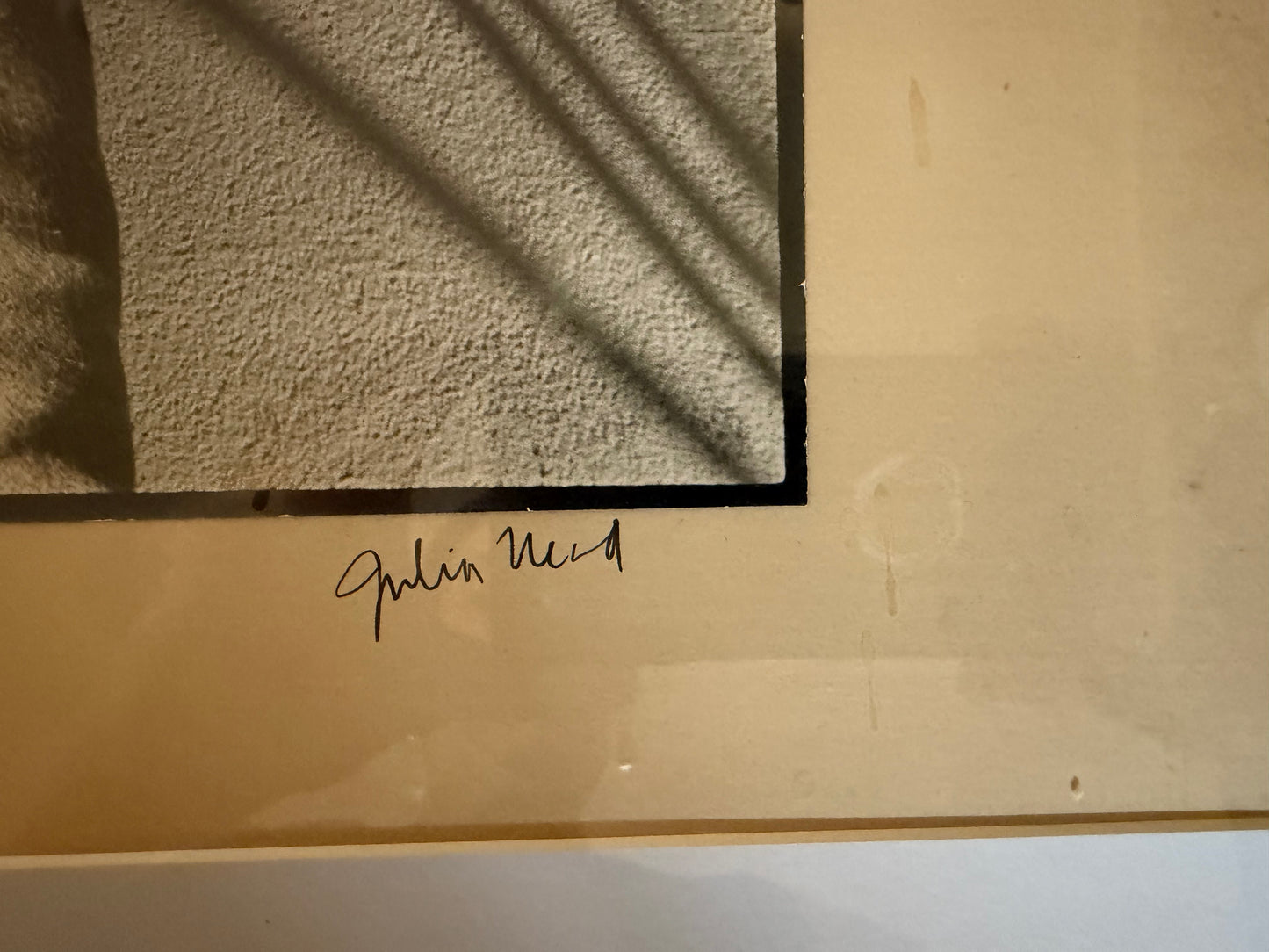 Man with Monkey Photograph by Julia Nead, signed and dated 1976