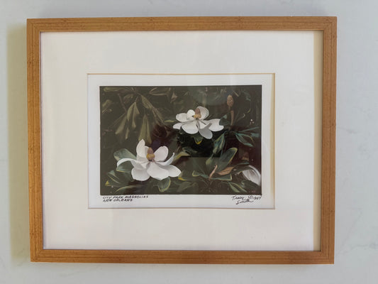 City Park Magnolias Photograph by Tracy Smith (1956-2012), signed