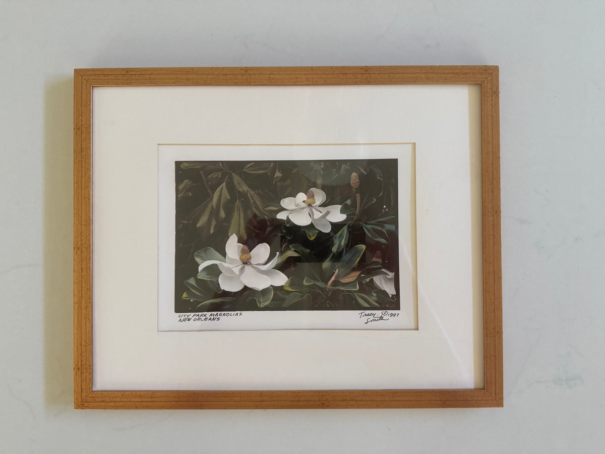 City Park Magnolias Photograph by Tracy Smith (1956-2012), signed