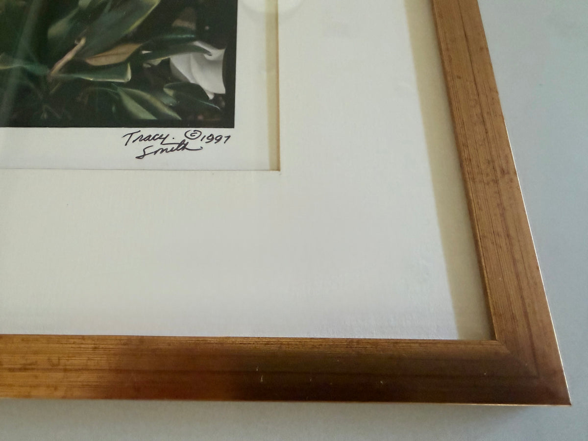 City Park Magnolias Photograph by Tracy Smith (1956-2012), signed