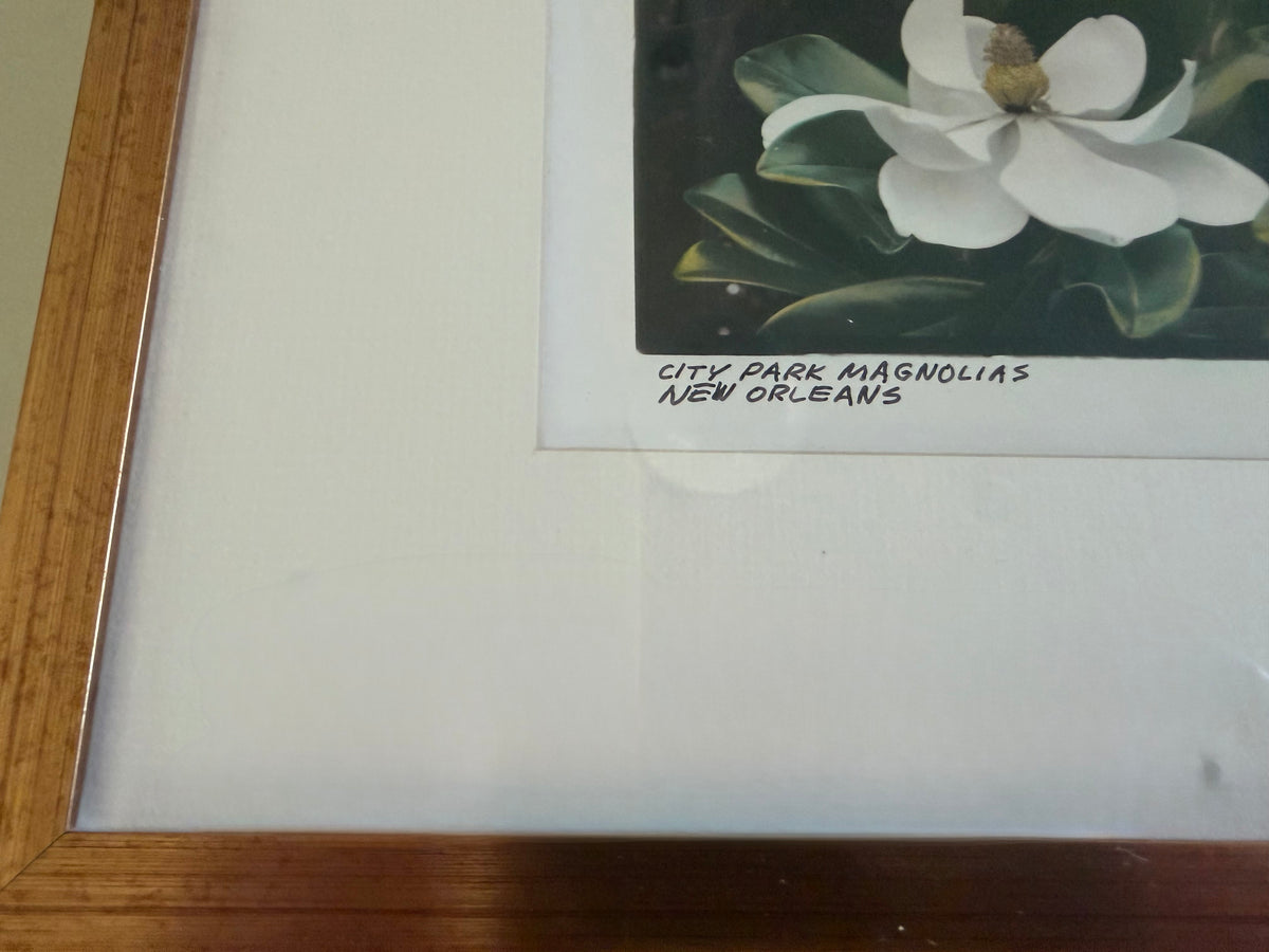 City Park Magnolias Photograph by Tracy Smith (1956-2012), signed