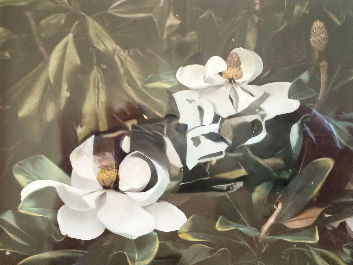 City Park Magnolias Photograph by Tracy Smith (1956-2012), signed