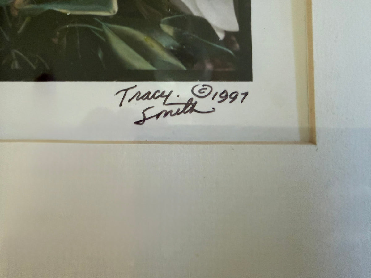 City Park Magnolias Photograph by Tracy Smith (1956-2012), signed