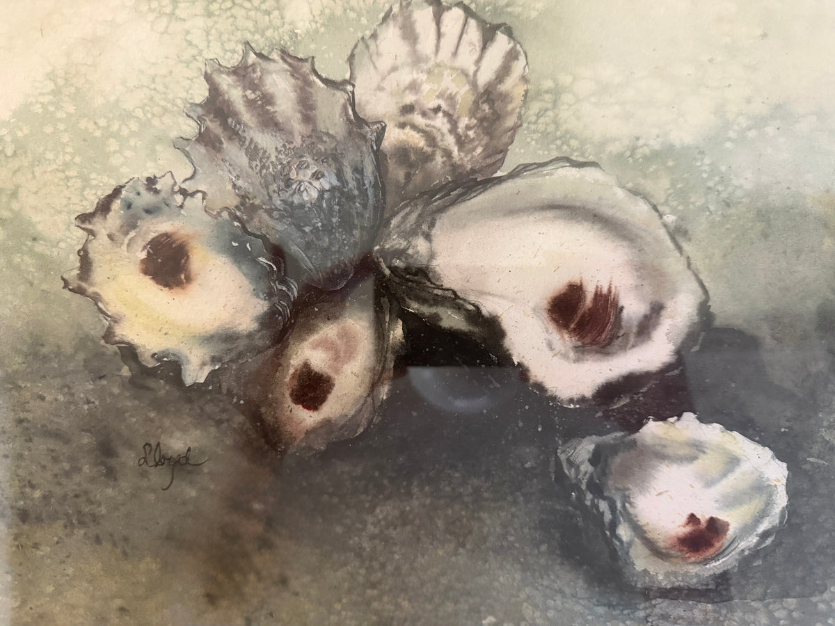 Oyster Painting by Linda Lloyd