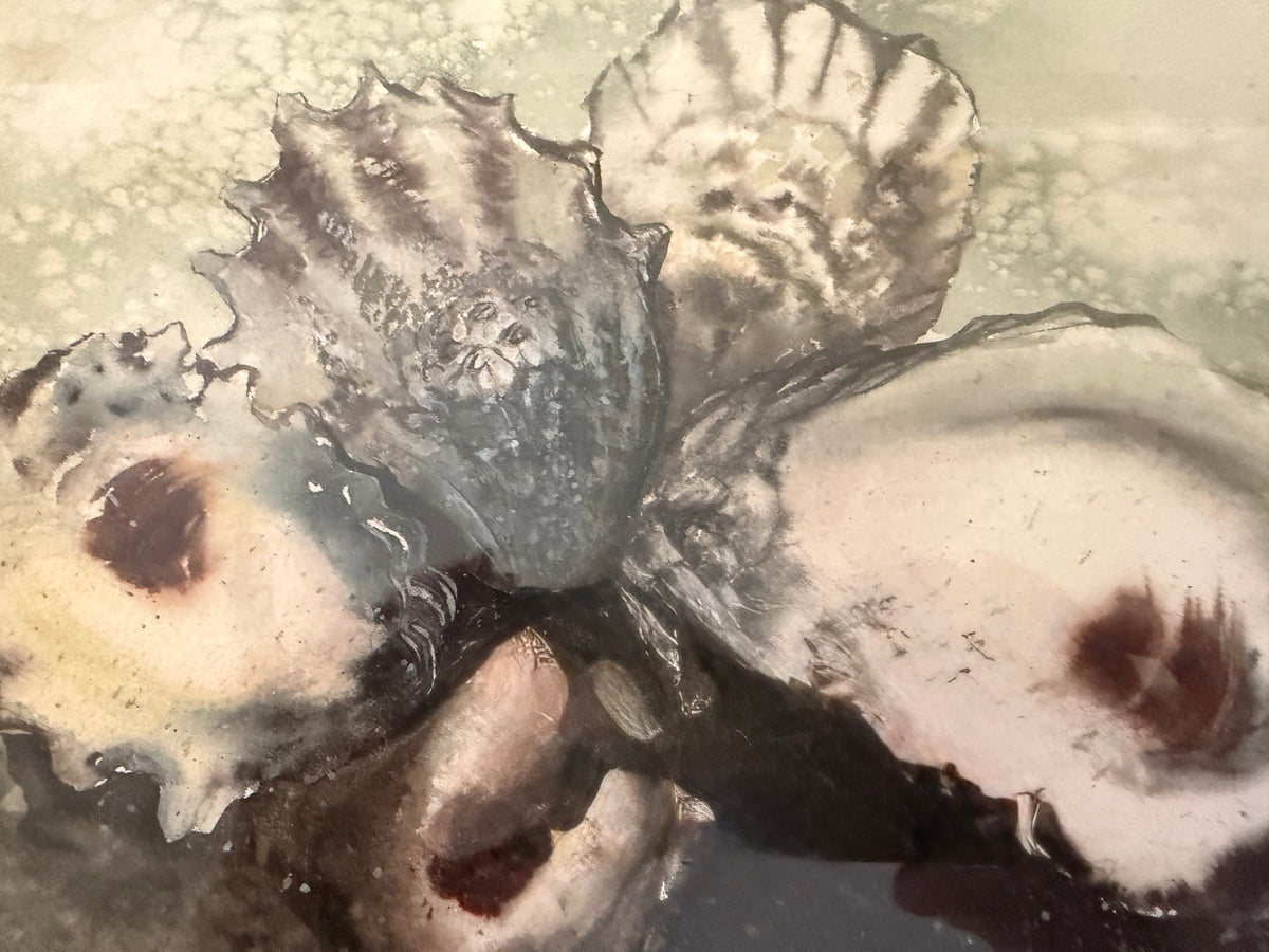 Oyster Painting by Linda Lloyd