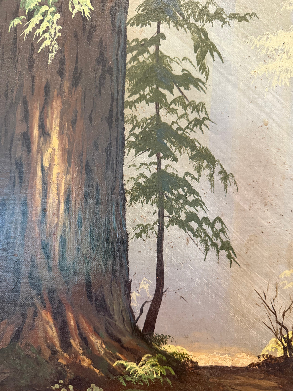 Redwood Path by Ellen Lorene Luiz (1928–2013)
