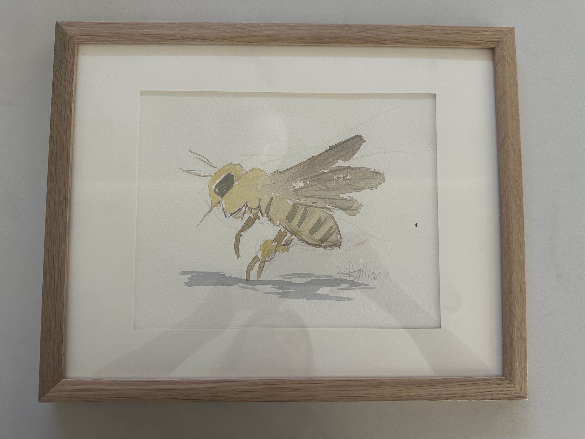 Framed illustration of a bee on a plain background