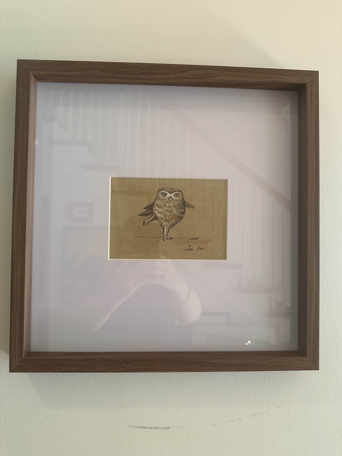 Owl by Juan Bosco