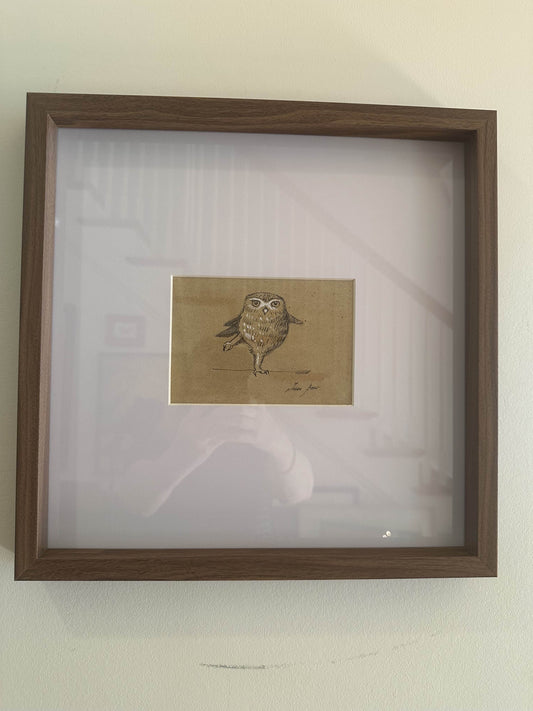 Owl by Juan Bosco