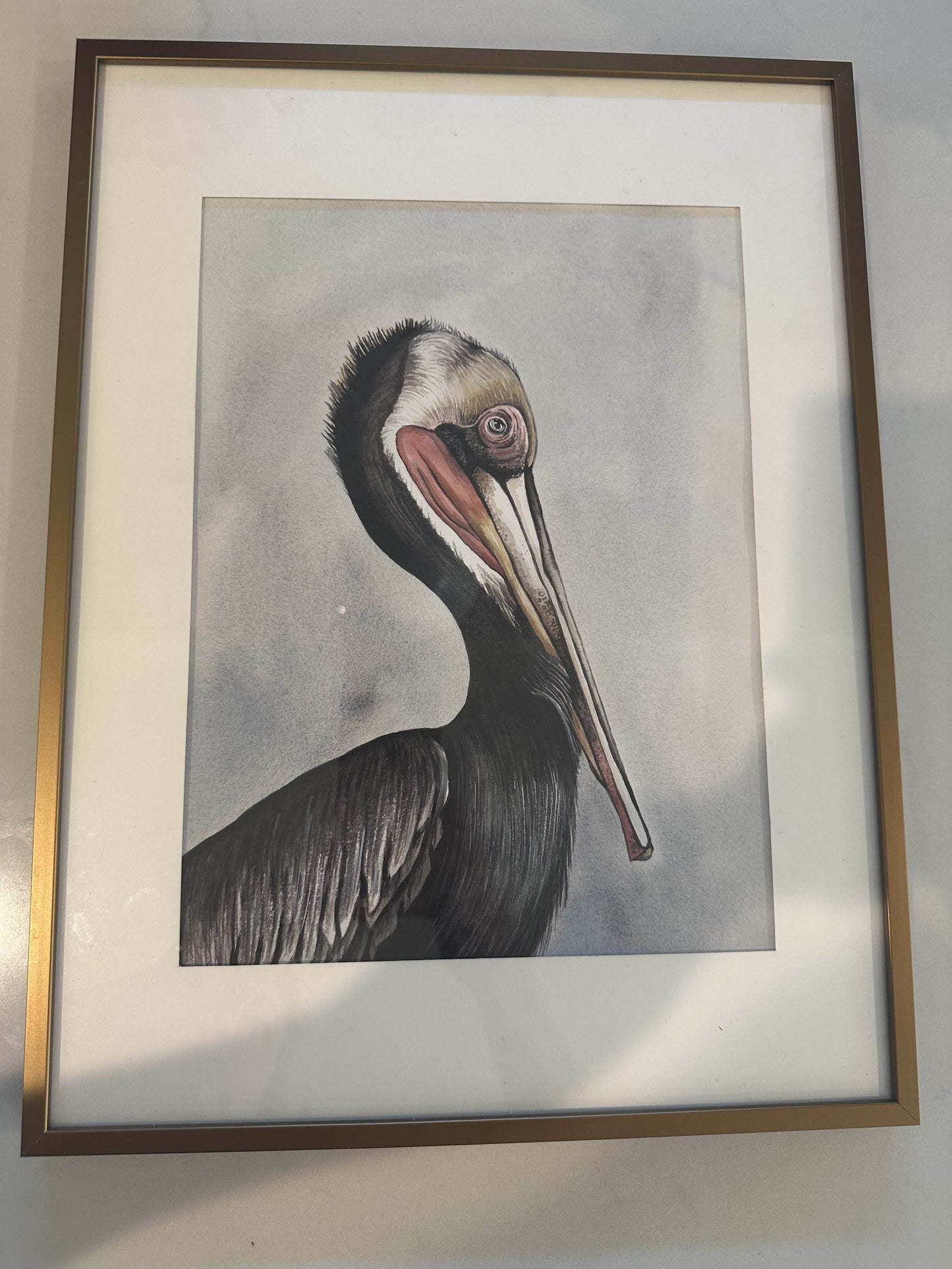 Pelican Study #1 by Rachel Walker