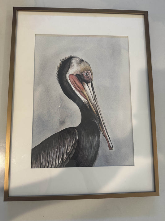 Pelican Study #1 by Rachel Walker